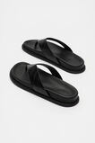 Piper Thong Sandal  Black Croc  hi-res