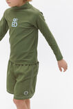 Papertouch Boardshort  Kiwi Green  hi-res