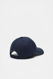 Seed Cap  Midnight Sky  hi-res