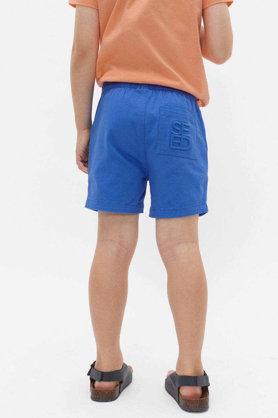 Core Logo Short  Wave Blue