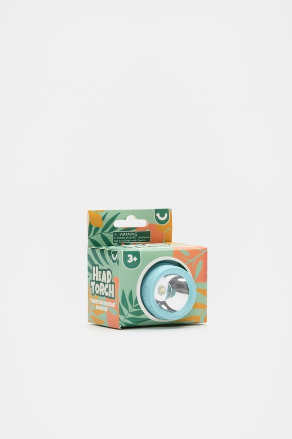 Head Torch  Multi  hi-res