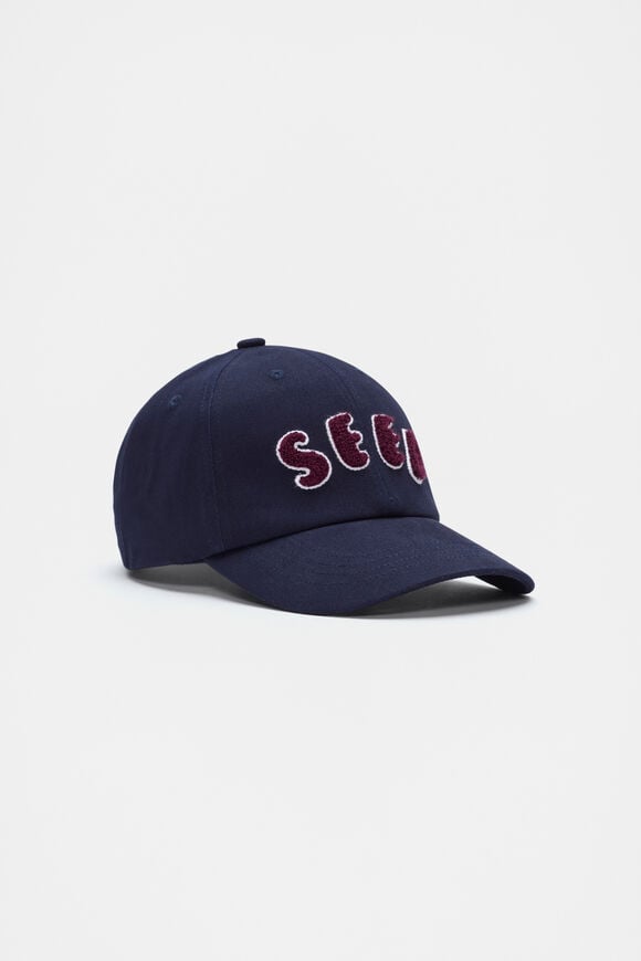 Chenille Seed Cap  Multi  hi-res