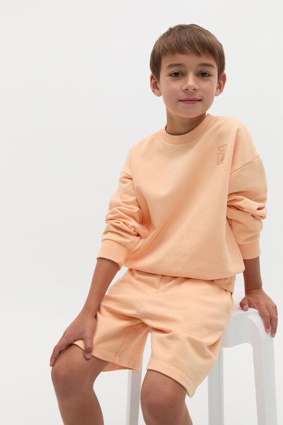 Garment Dye Sweat Top  Washed Apricot  hi-res