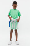 Stripe Short  Pine Lime  hi-res