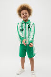 Sports Knit Sweater  Denver Green  hi-res