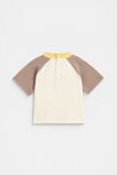 Relaxed Raglan Tee  Mousse  hi-res