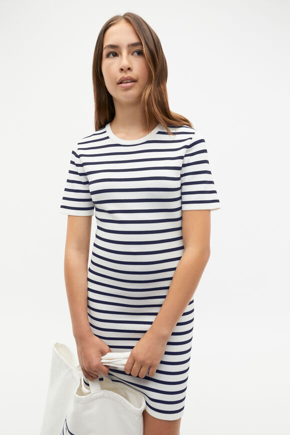 Stripe Knit Dress  New Navy  hi-res