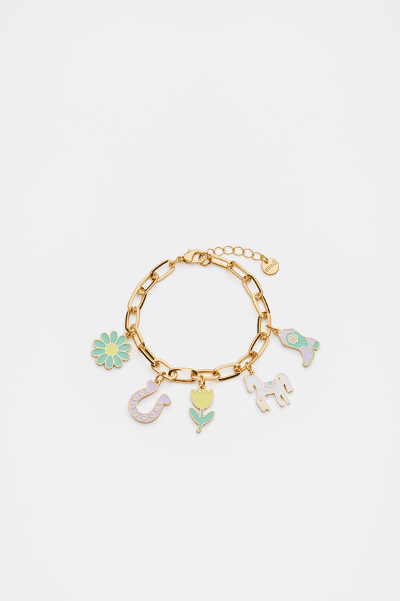 Western Charm Bracelet  Multi Western Charm Bracelet  Multi  hi-res