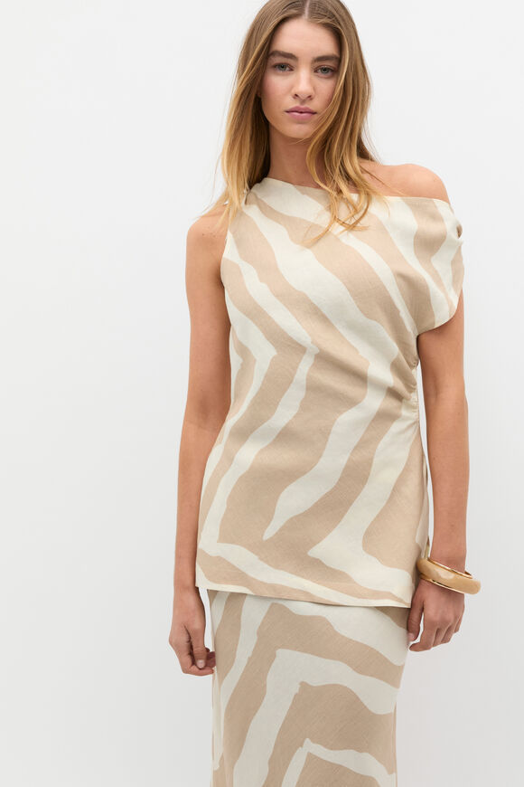 Abstract Animal Asymmetric Top  Abstract Animal  hi-res