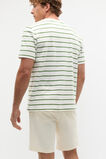Crew Stripe Tee  Pea Green  hi-res