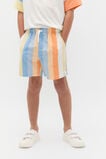 Stripe Short  Multi Stripe  hi-res