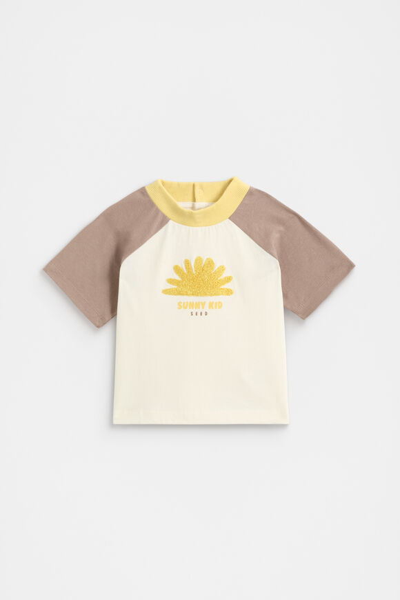 Relaxed Raglan Tee  Mousse  hi-res