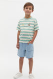 Colourblock Stripe Logo Tee  Mint Stripe  hi-res