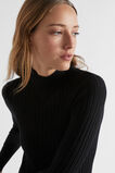 Rib Knit High Neck Dress  Black  hi-res