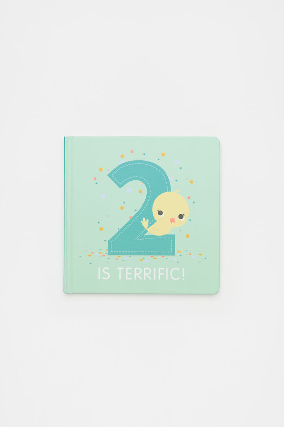 Two Is Terrific Book  Multi  hi-res