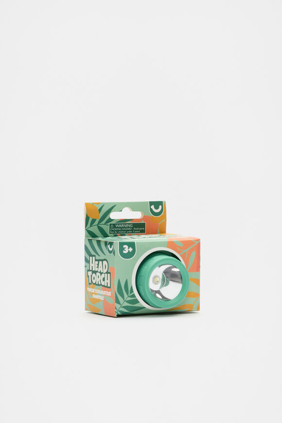 Head Torch  Multi  hi-res