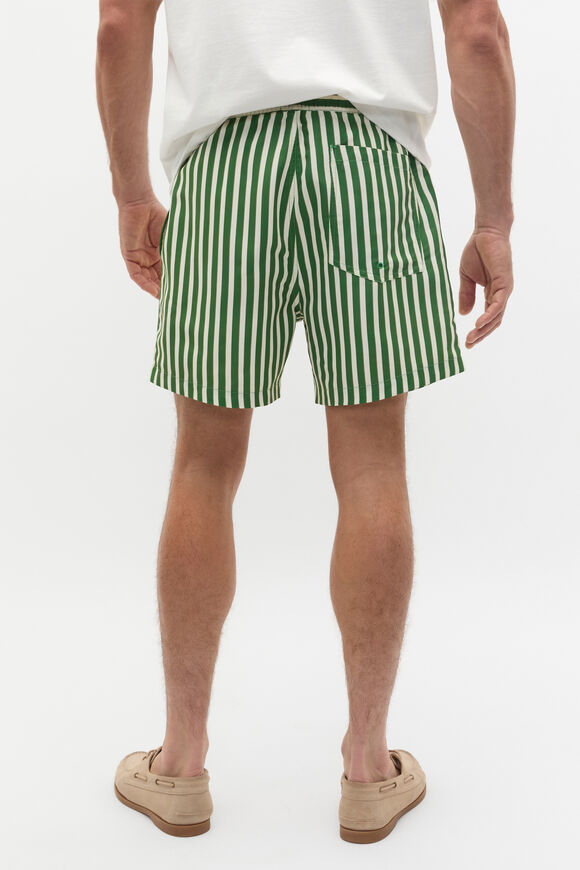 Stripe Swim Short  Pea Green  hi-res