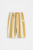 Stripe Track Pant  Saffron  hi-res