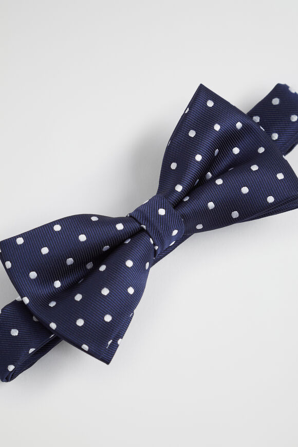 Spot Bow Tie  Multi  hi-res