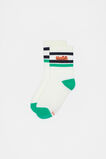 Crocodile Stripe Sock  Multi  hi-res