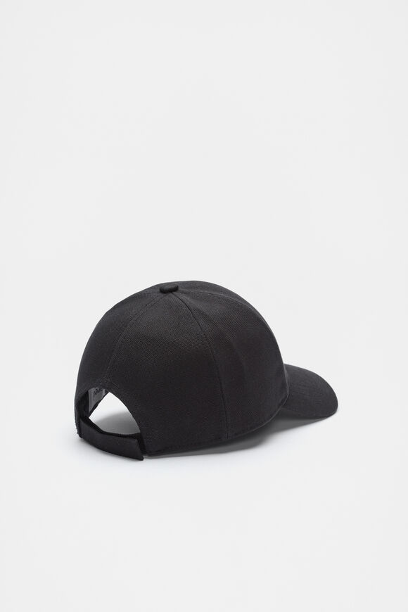 Seed Cap  Black  hi-res