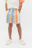 Stripe Short  Multi Stripe  hi-res