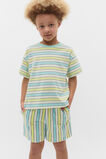 Boxy Stripe Tee  Multi Stripe  hi-res