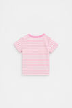Core Logo Rib Tee  Candy Pink Stripe  hi-res