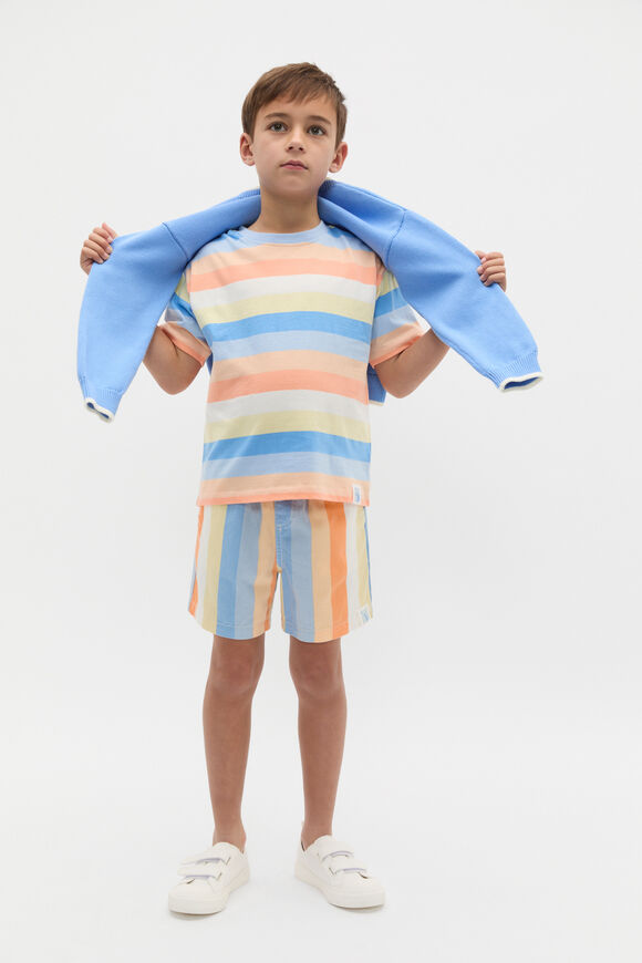 Loose Fit Stripe Tee  Multi Stripe  hi-res