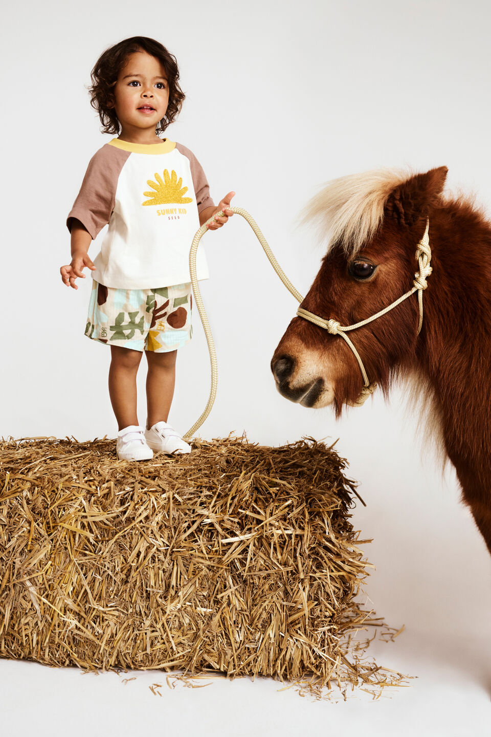 Relaxed Raglan Tee  Mousse