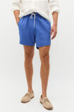 Panel Swim Short  Cobalt  hi-res