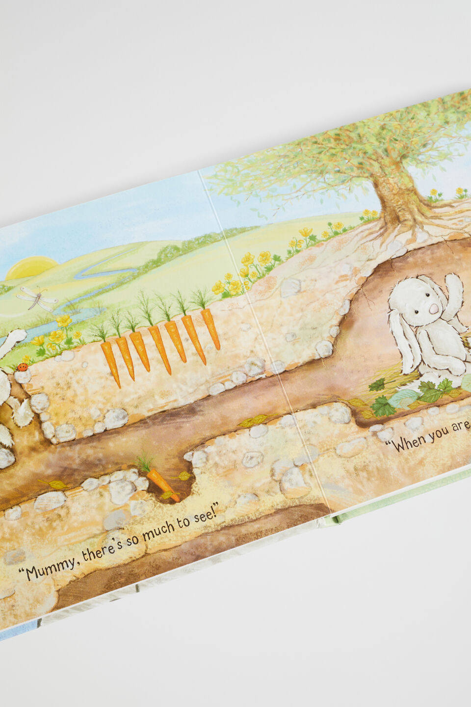 Jellycat When I Am Big Book  Multi