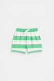Knitted Stripe Short  Pine Lime  hi-res
