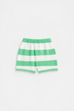Knitted Stripe Short  Pine Lime  hi-res