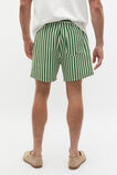 Stripe Swim Short  Pea Green  hi-res