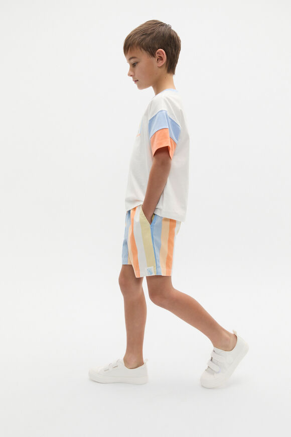 Panelled Logo Tee  Canvas  hi-res