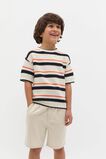 Stripe Knit Tee  Cayenne  hi-res