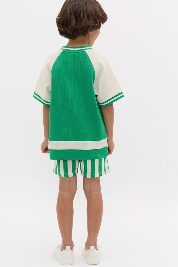 Raglan Sporty Tee  Denver Green  hi-res