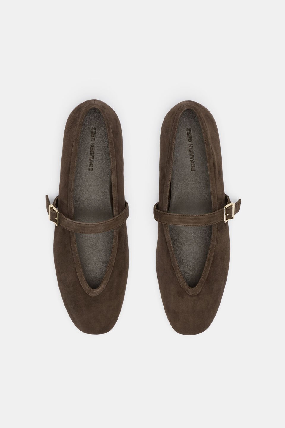 Arlo Ballet Flat  Chocolate Suede