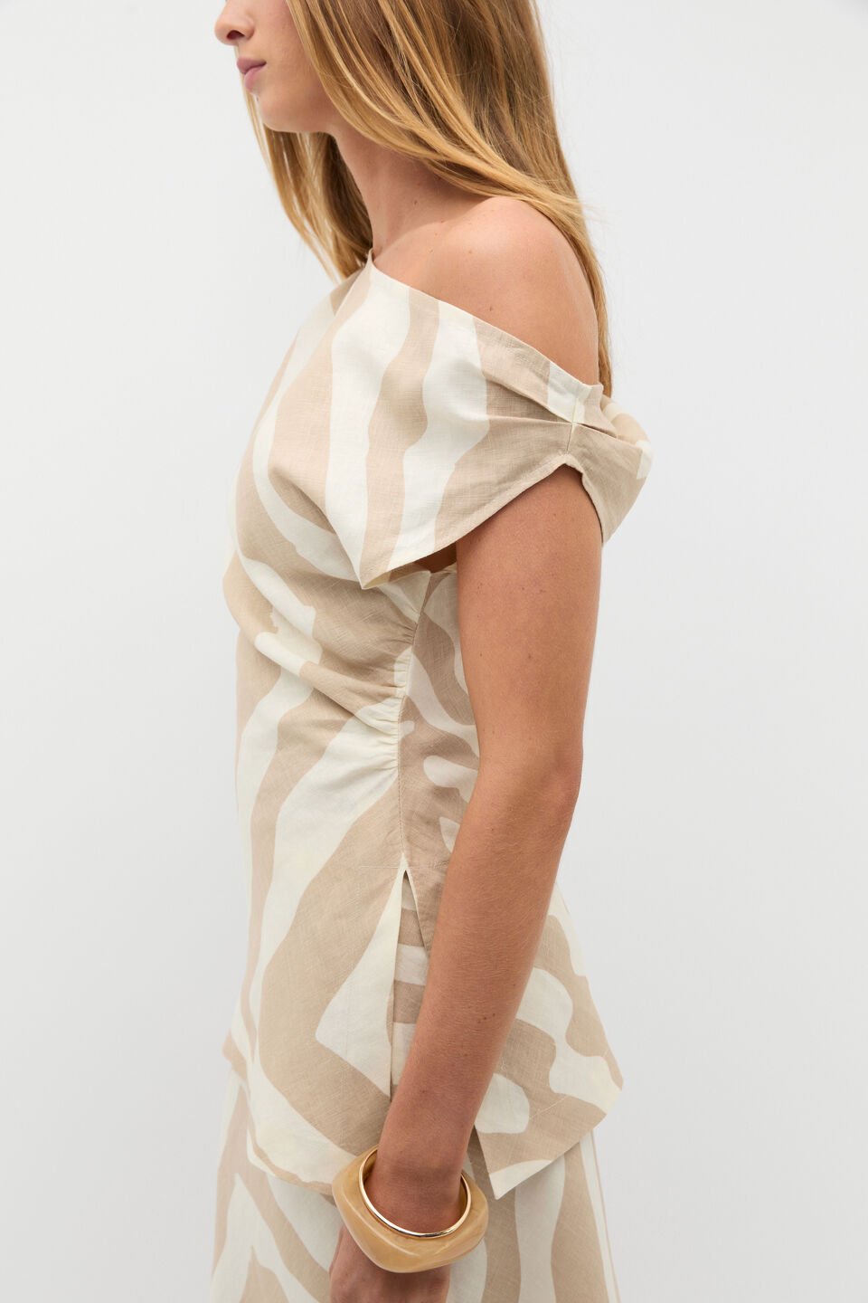 Abstract Animal Asymmetric Top  Abstract Animal