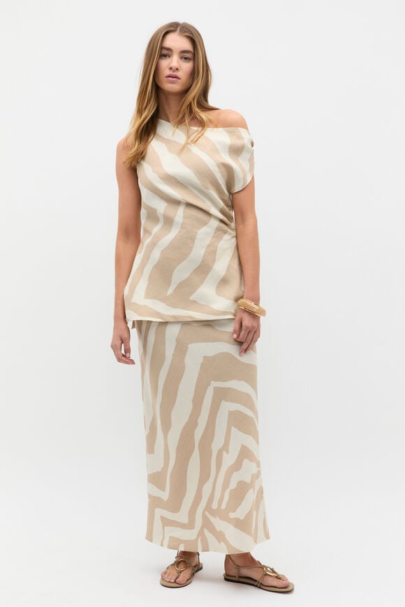 Abstract Animal Asymmetric Top  Abstract Animal  hi-res