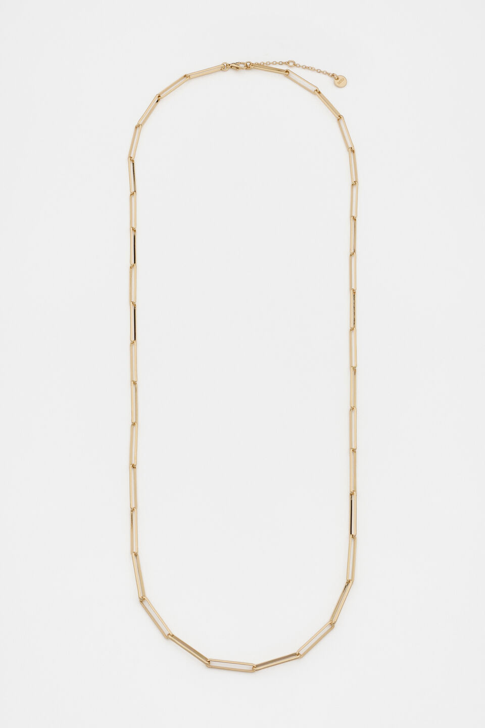 Long Link Necklace  Gold