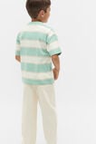 Relaxed Stripe Tee  Dark Mint  hi-res