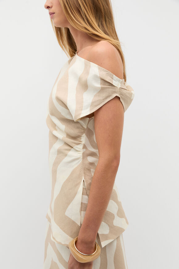 Abstract Animal Asymmetric Top  Abstract Animal  hi-res