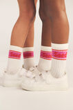 Sock 4 Pack  Pink Multi  hi-res
