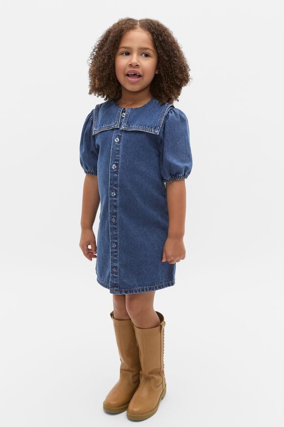 Collar Denim Dress  Indigo  hi-res