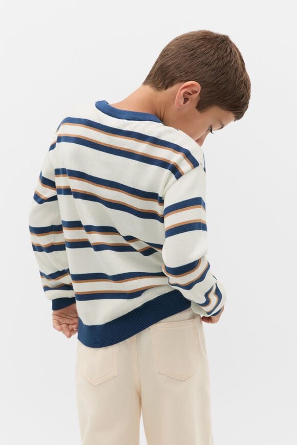 Stripe Crew Knit  Multi  hi-res