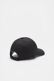 Seed Cap  Black  hi-res