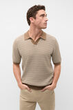 Contrast Stripe Knit Polo  Coffee  hi-res