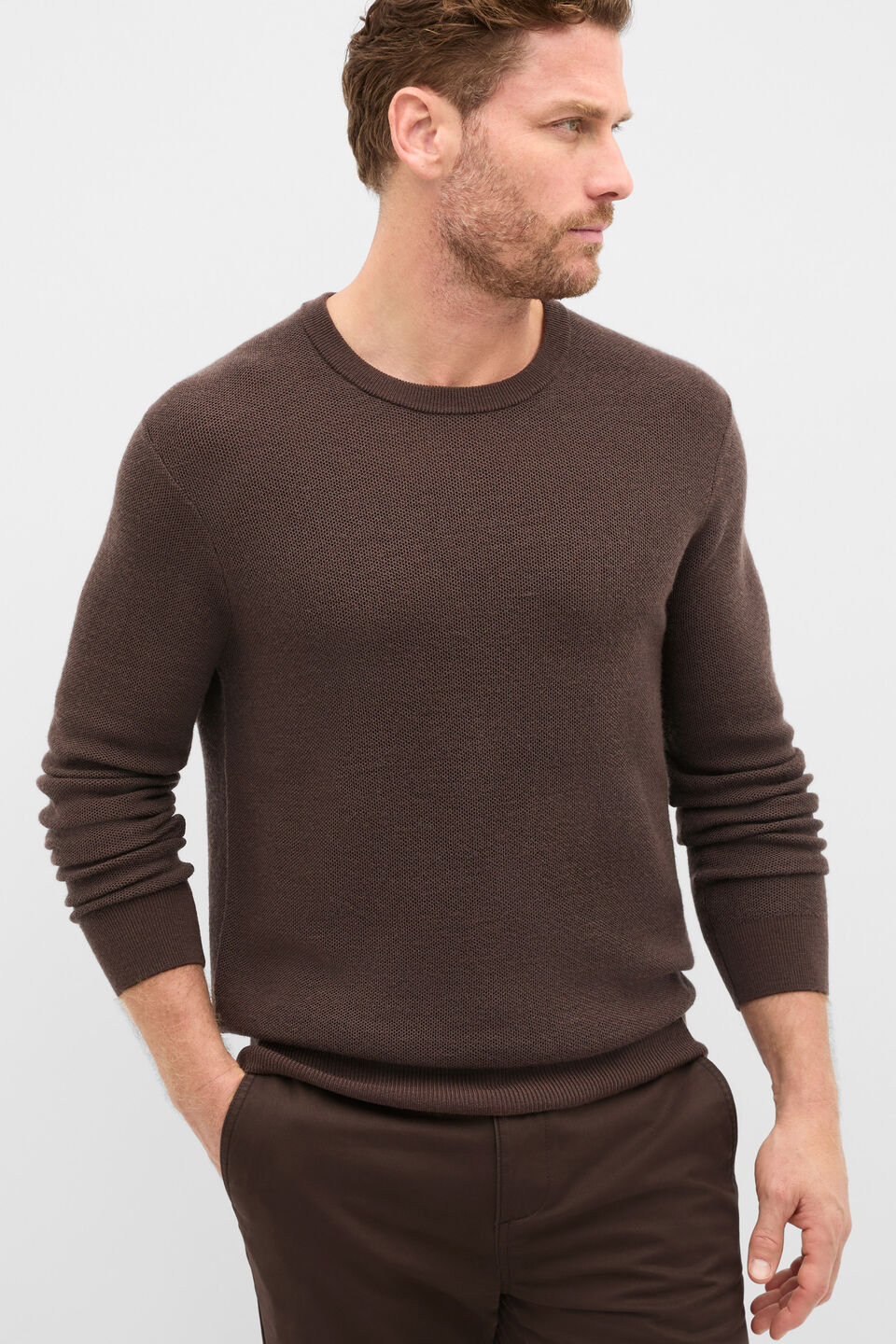 Merino Crew Neck Knit  Dark Chocolate